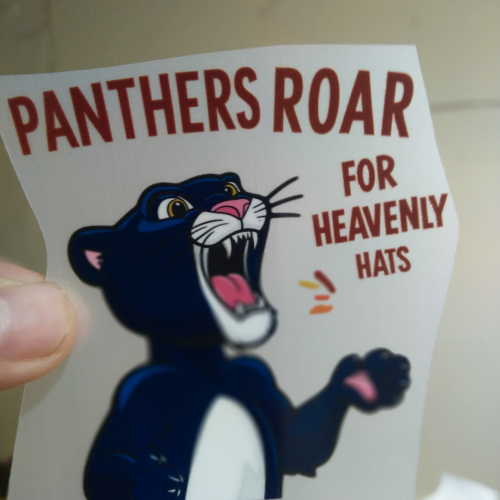 PANTHERS ROAR